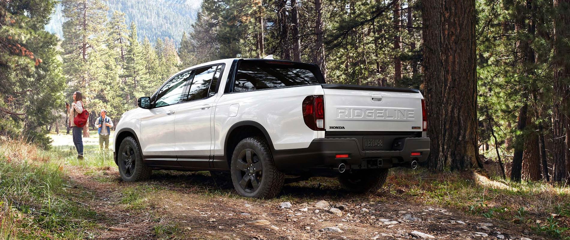 A rear view of a white Honda Ridgeline parked on a dirt trail in a forest
